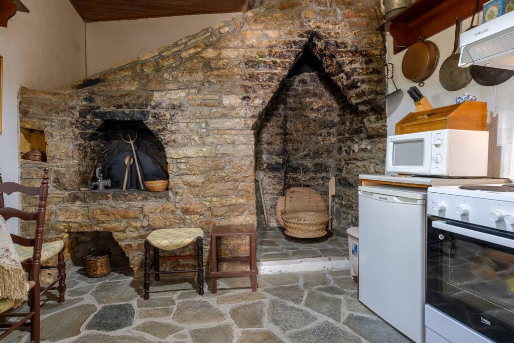 Villa Monodendri Vintage House Extérieur photo