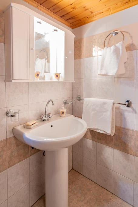 Villa Monodendri Vintage House Extérieur photo